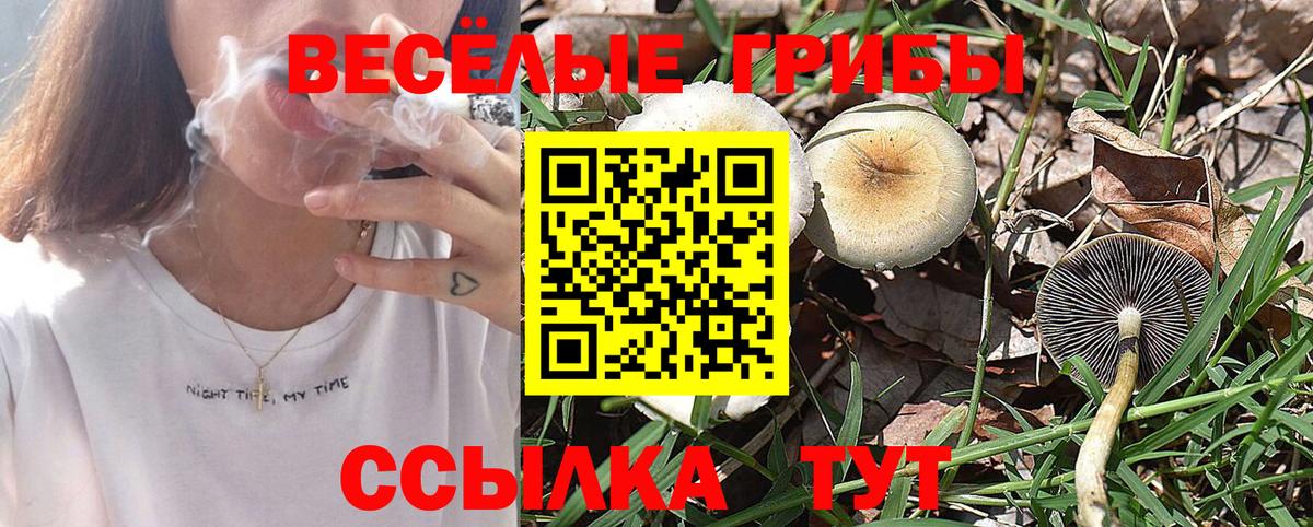 Галлюциногенные грибы Magic Shrooms  магазин    Ханты-Мансийск  Вход с VPN 